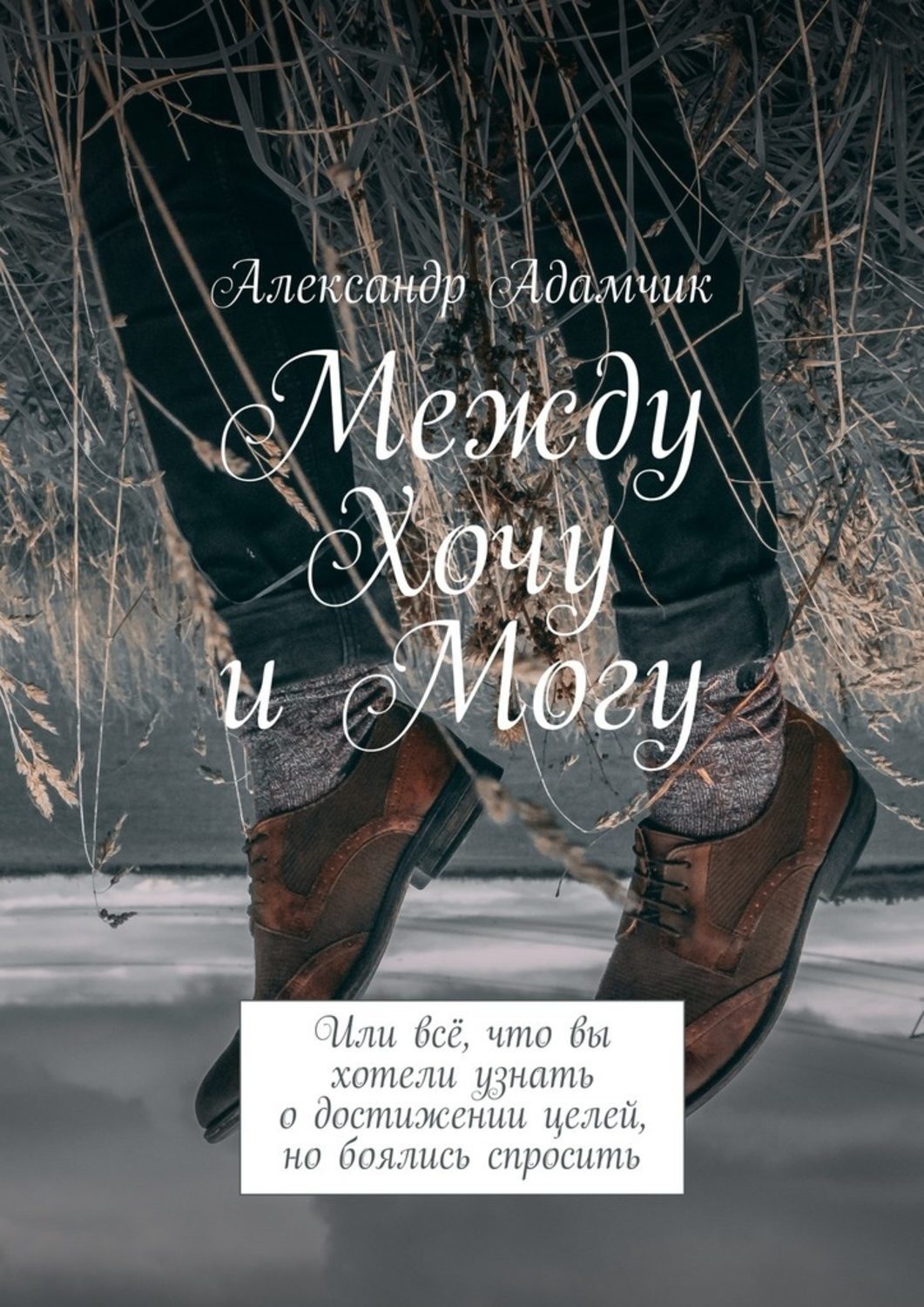 Обложка книги «Между Хочу и Могу. Или всё, что вы хотели узнать о достижении целей, но боялись спросить»