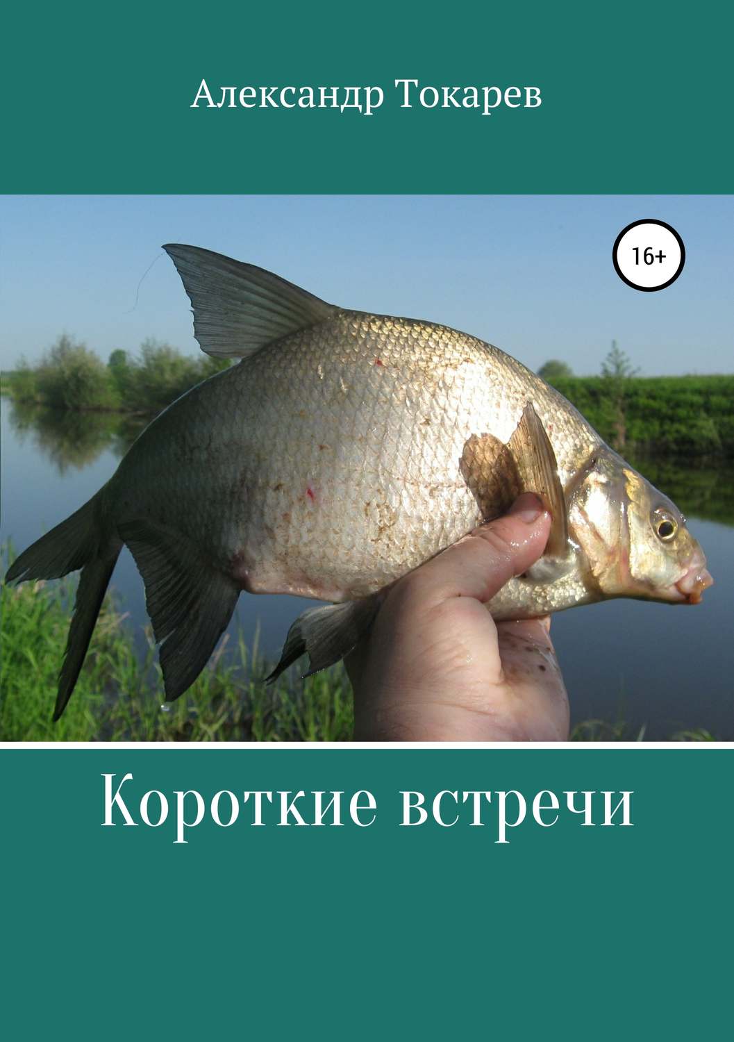 Обложка книги «Короткие встречи»