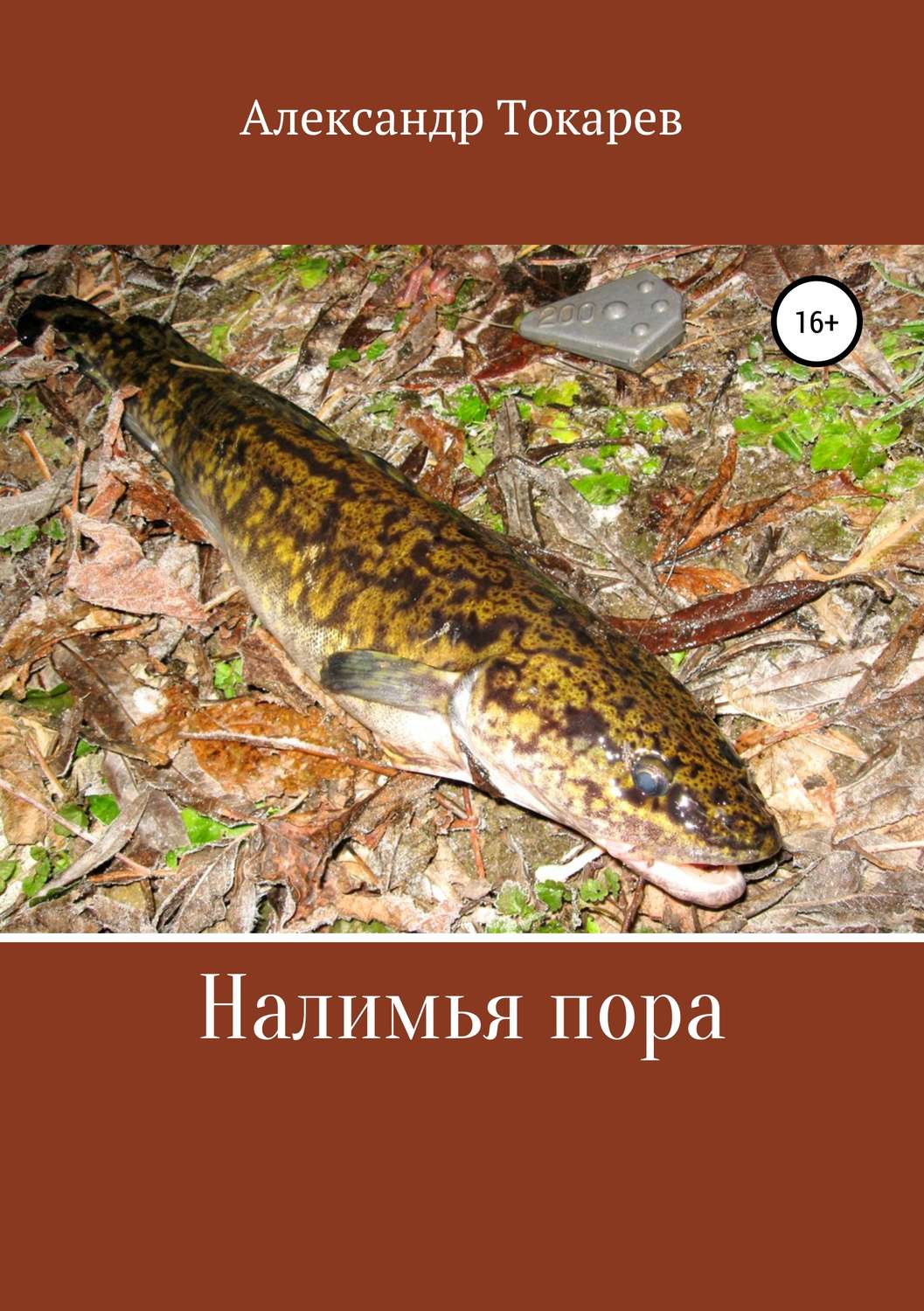 Обложка книги «Налимья пора»