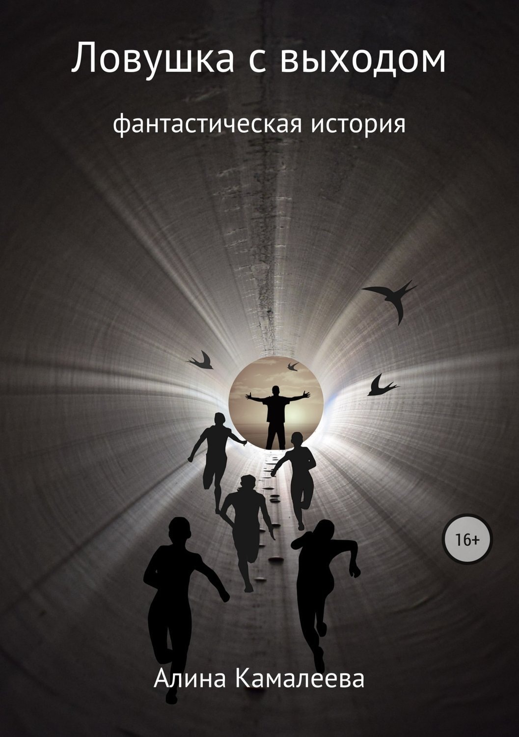 Обложка книги «Ловушка с выходом»