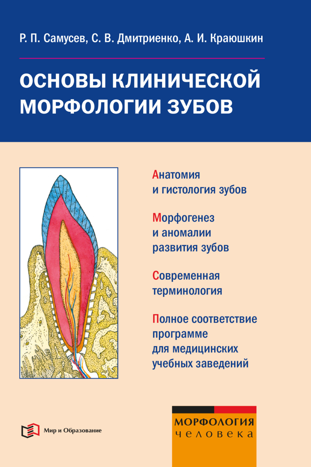 Обложка книги «Основы клинической морфологии зубов: учебное пособие»