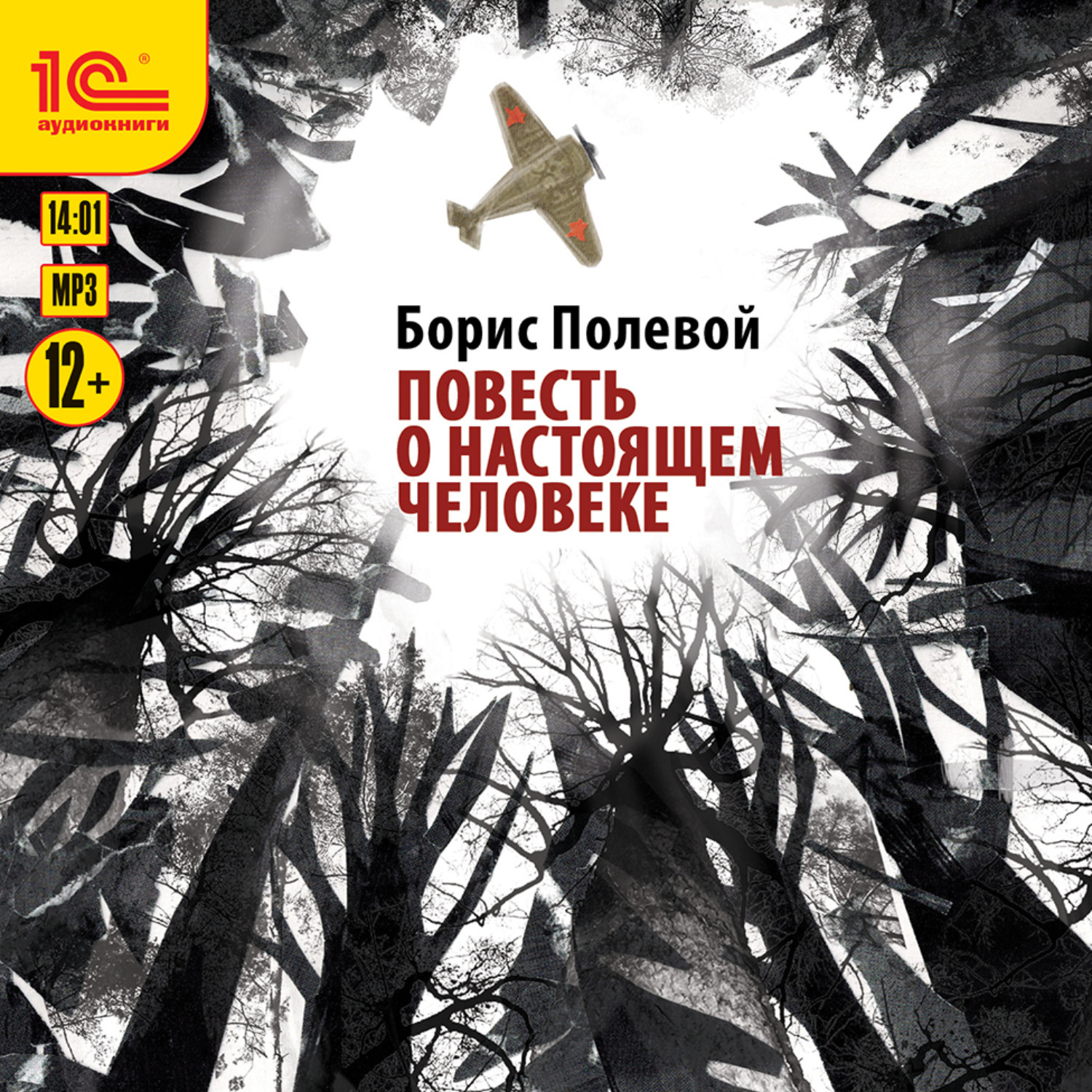 Обложка книги «Повесть о настоящем человеке»