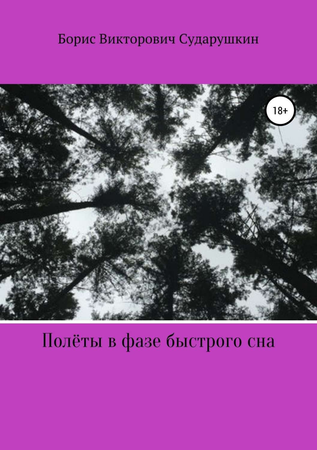 Обложка книги «Полёты в фазе быстрого сна»