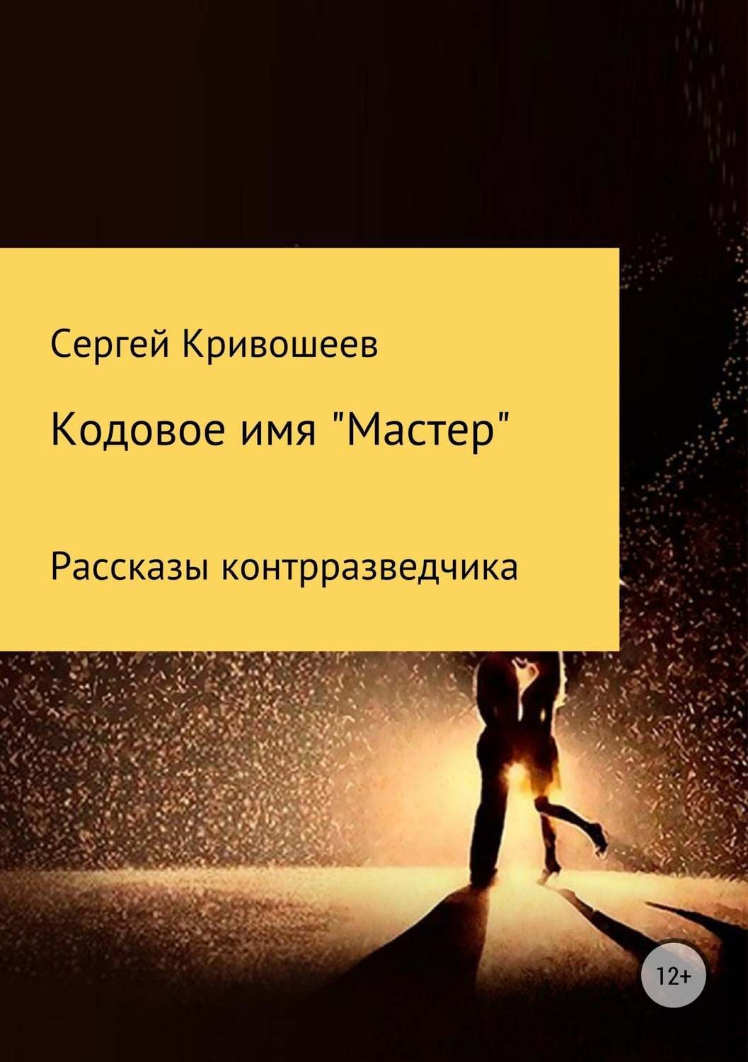 Обложка книги «Кодовое имя «Мастер»»