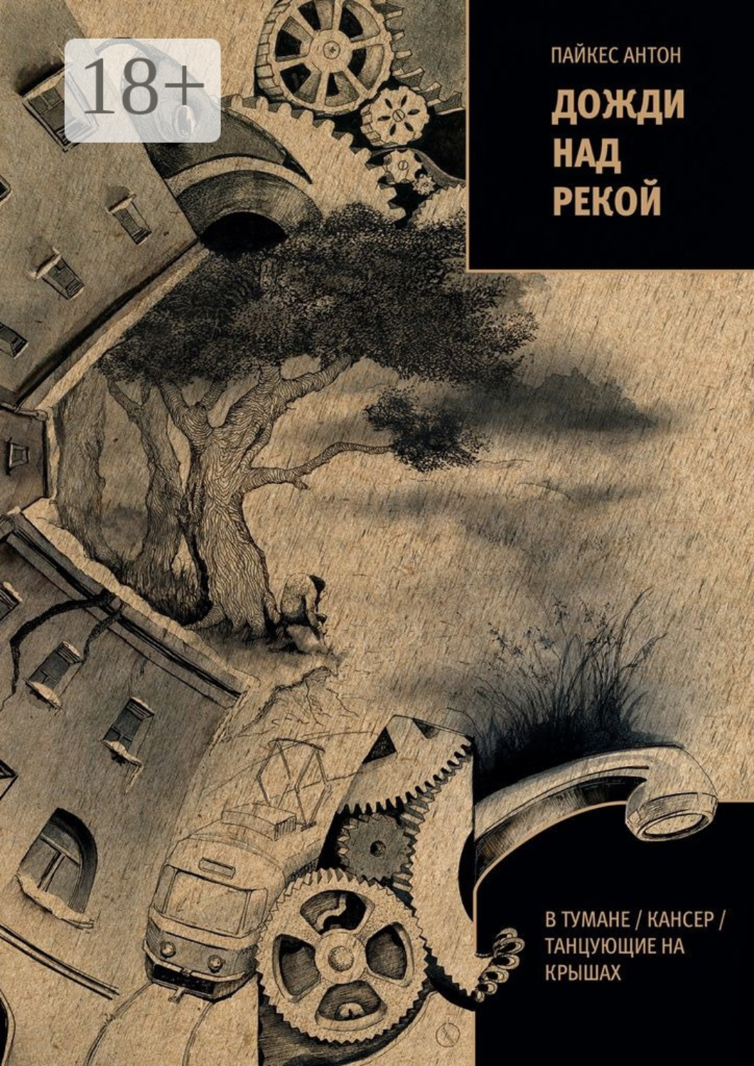 Обложка книги «Дожди над рекой. В тумане / Кансер / Танцующие на крышах»