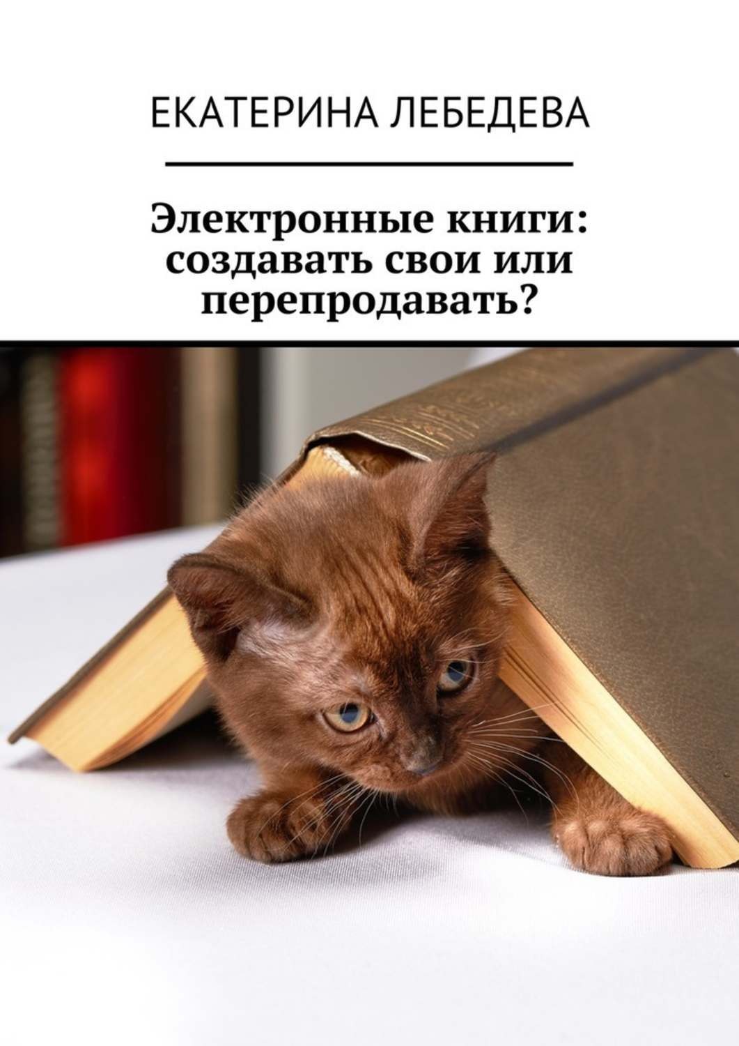 Обложка книги «Электронные книги: создавать свои или перепродавать?»