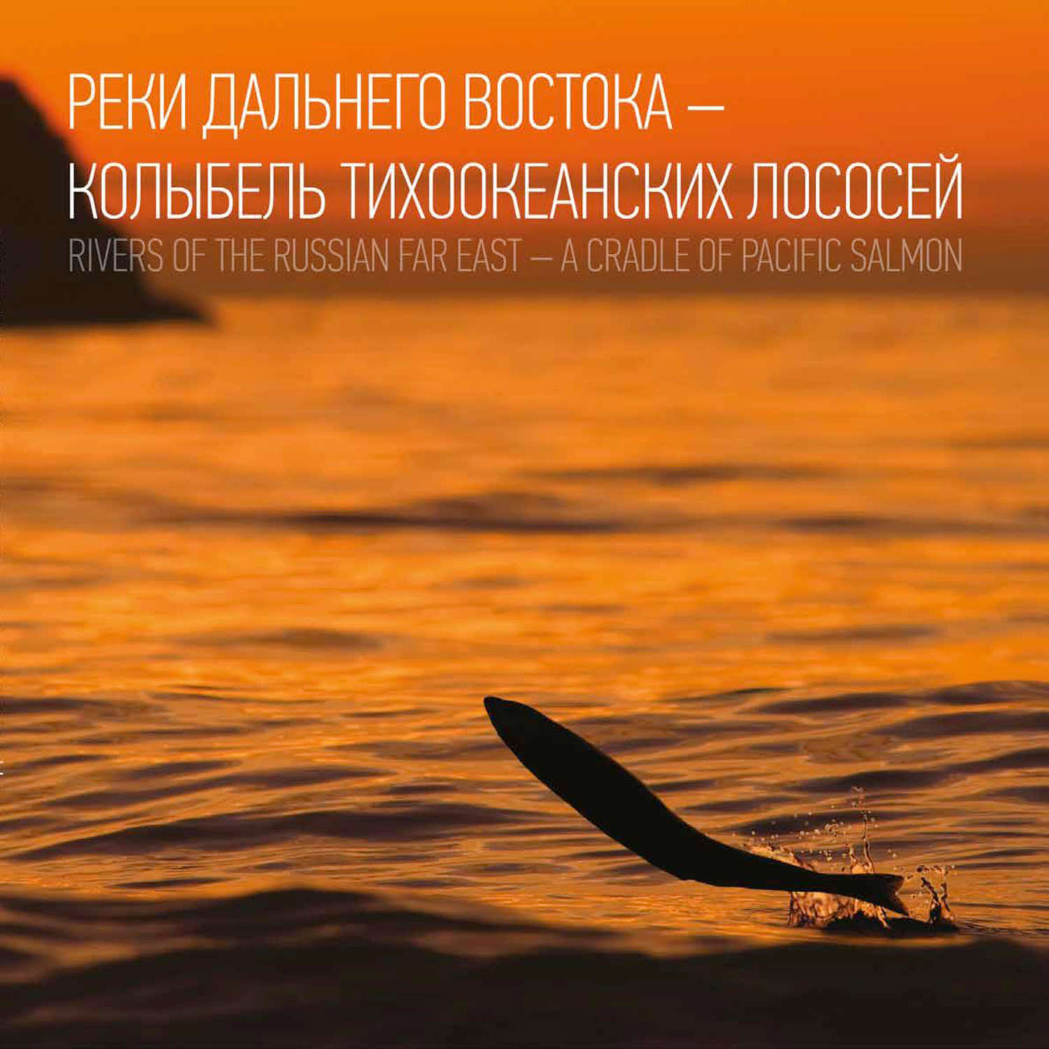Обложка книги «Реки Дальнего Востока – колыбель тихоокеанских лососей»