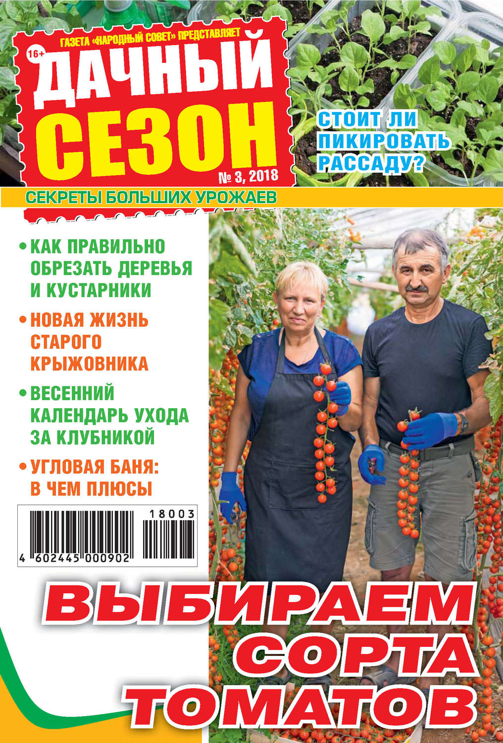 Обложка книги «Дачный сезон №03/2018»