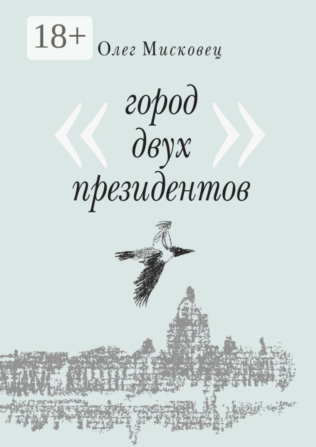 Обложка книги «Город двух президентов»