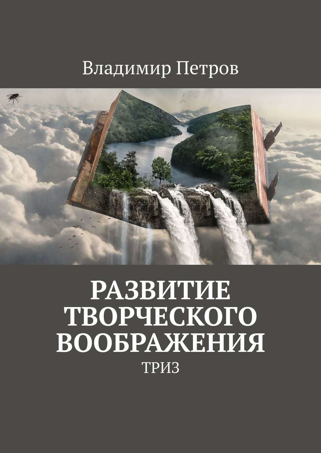 Обложка книги «Развитие творческого воображения. ТРИЗ»