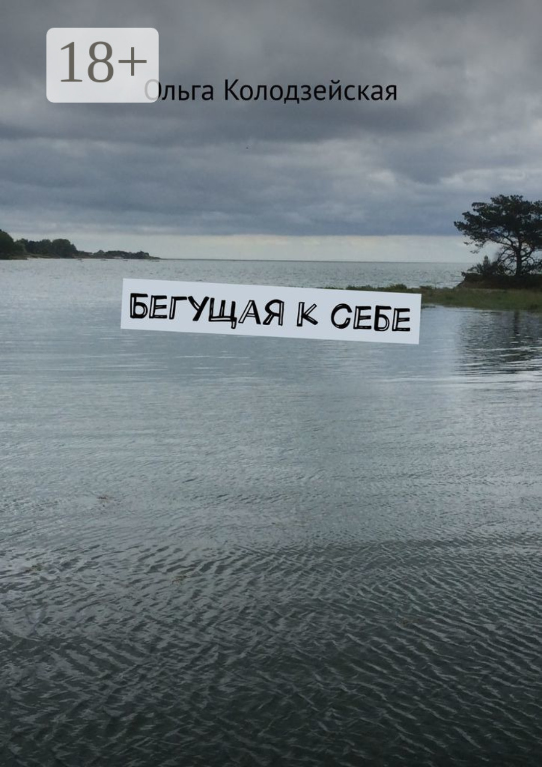 Обложка книги «Бегущая к себе»