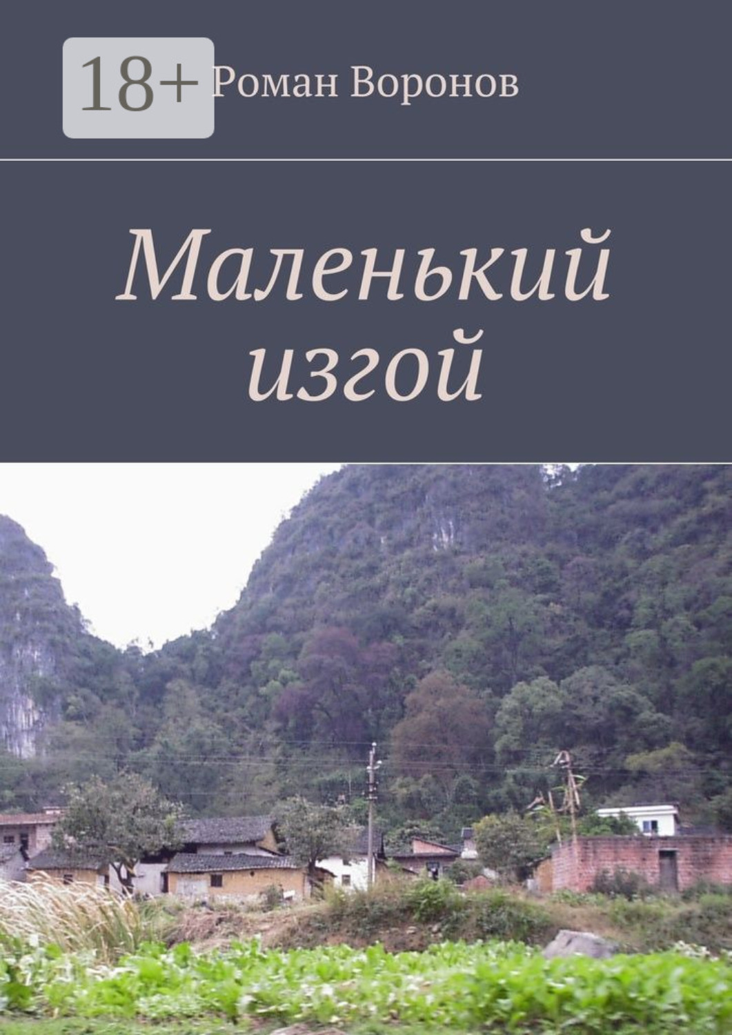 Обложка книги «Маленький изгой»