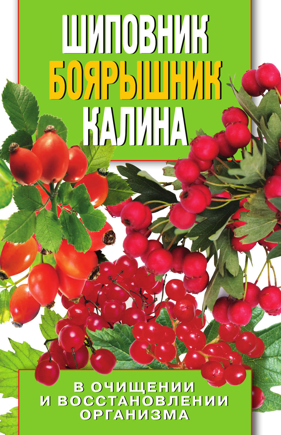 Обложка книги «Шиповник, боярышник, калина в очищении и восстановлении организма»