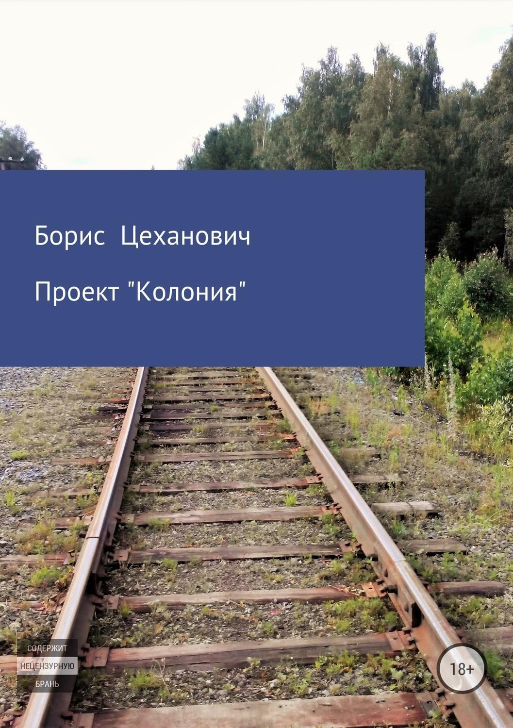 Обложка книги «Проект «Колония»»