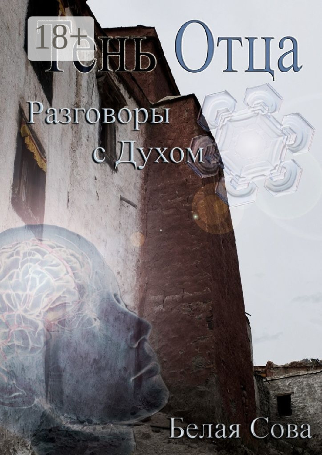 Обложка книги «Тень Отца. Разговоры с Духом»