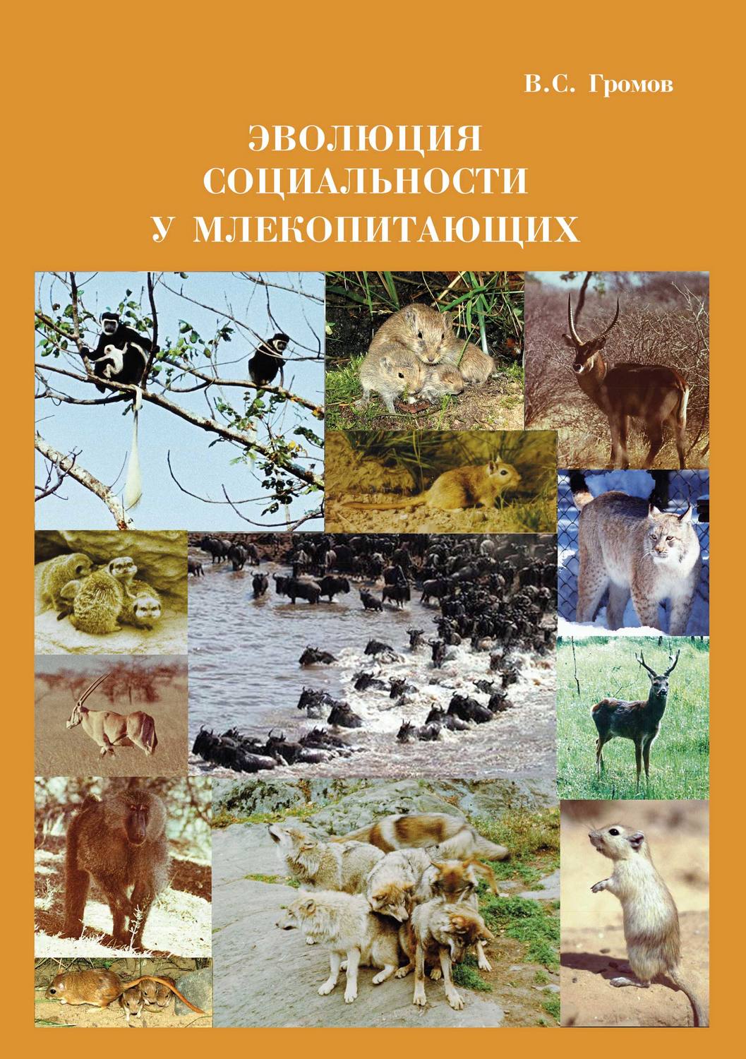 Обложка книги «Эволюция социальности у млекопитающих»
