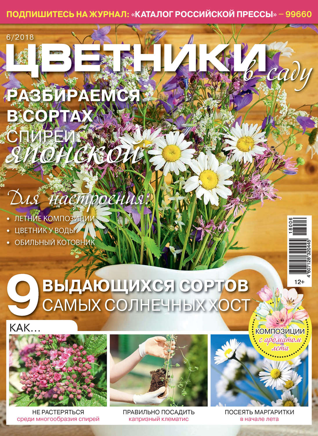 Обложка книги «Цветники в саду №6/2018»