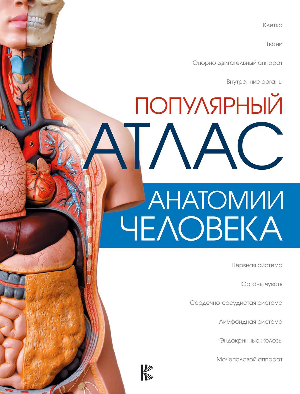 Обложка книги «Популярный атлас анатомии человека»