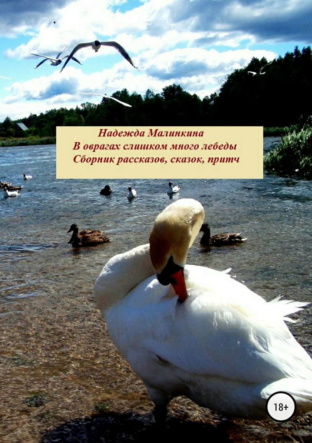 Обложка книги «В оврагах слишком много лебеды…»
