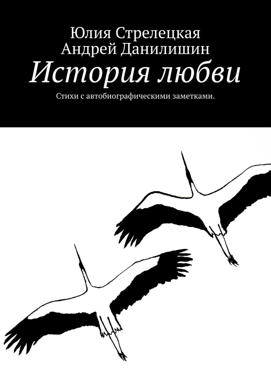 Обложка книги «История любви. Стихи с автобиографическими заметками.»