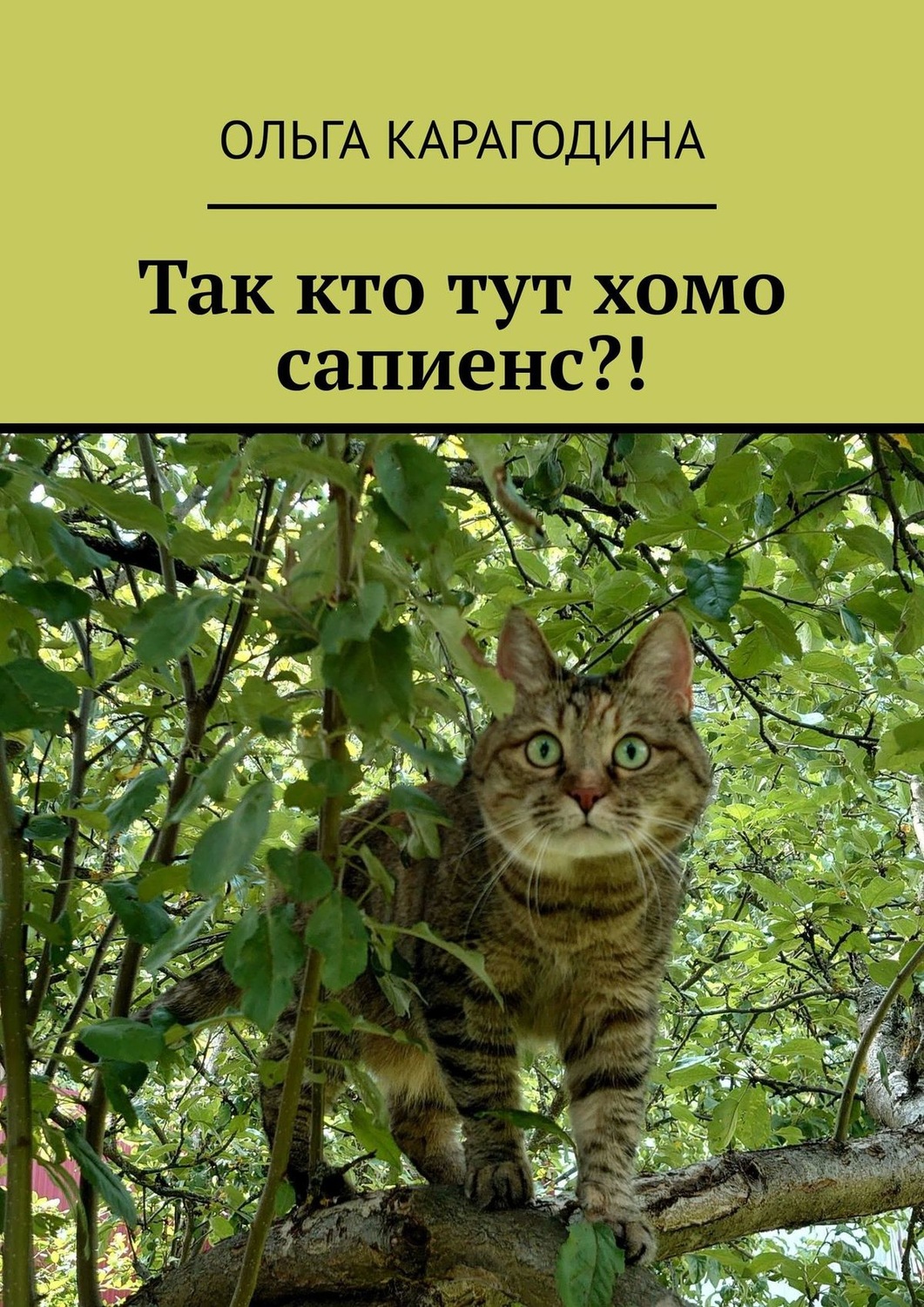 Обложка книги «Так кто тут хомо сапиенс?!»