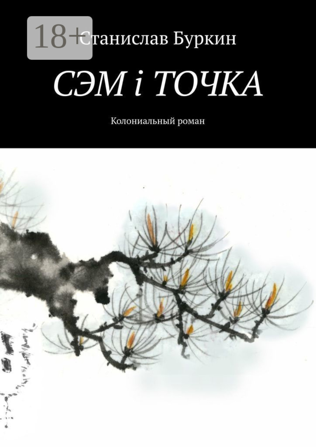 Обложка книги «СЭМ i ТОЧКА. Колониальный роман»