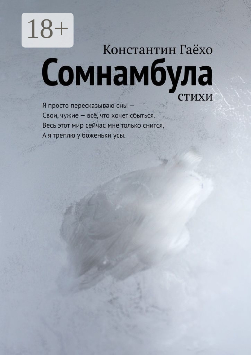 Обложка книги «Сомнамбула. Стихи»