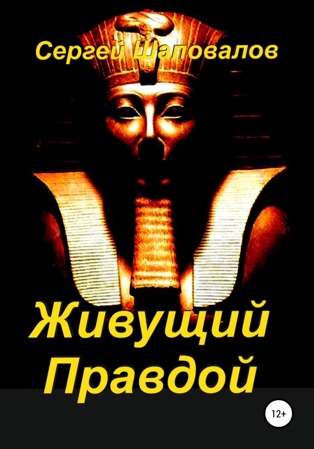 Обложка книги «Живущий Правдой»
