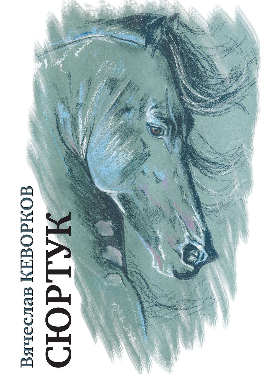 Обложка книги «Сюртук»