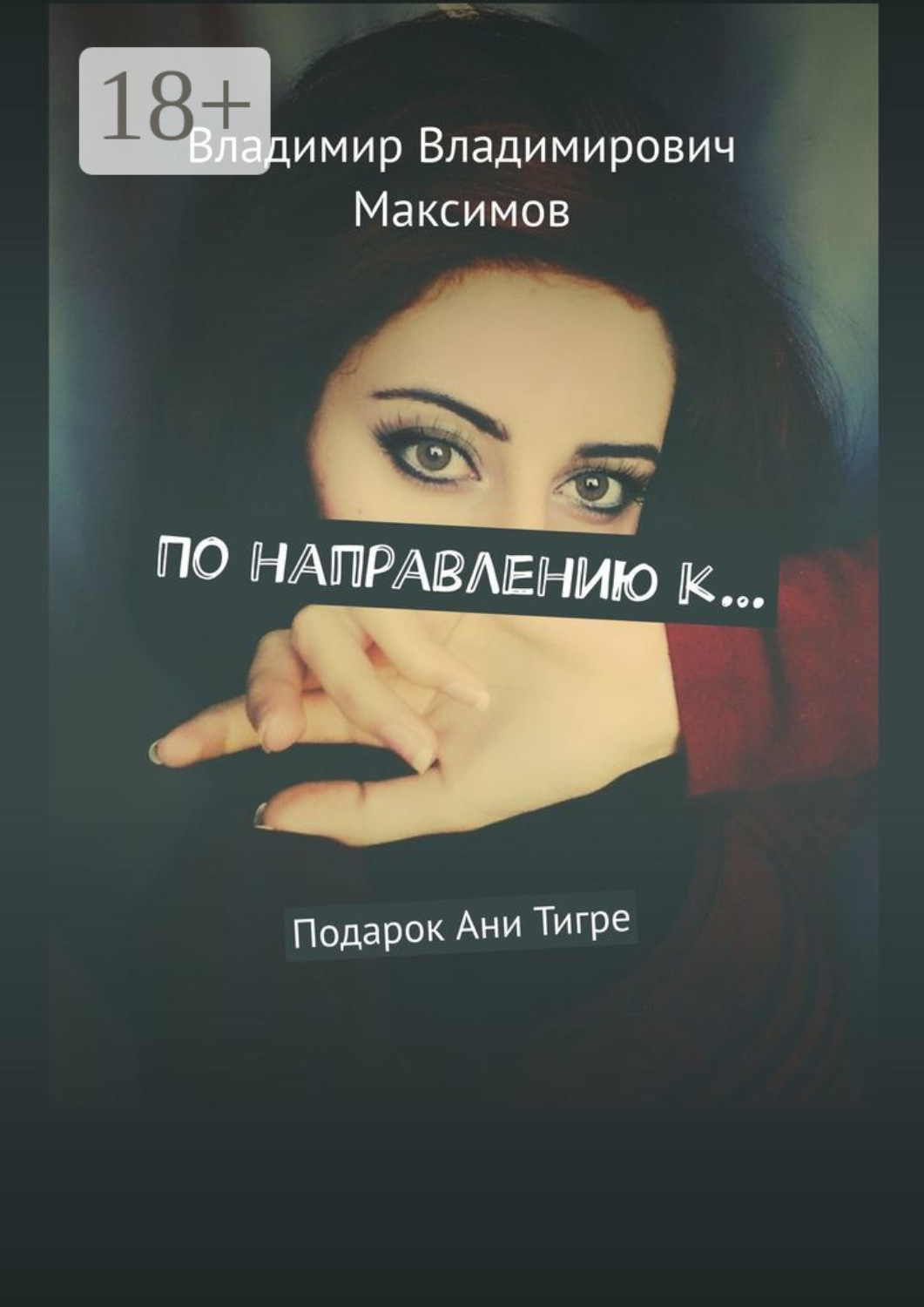 Обложка книги «По направлению к… Подарок Ани Тигре»