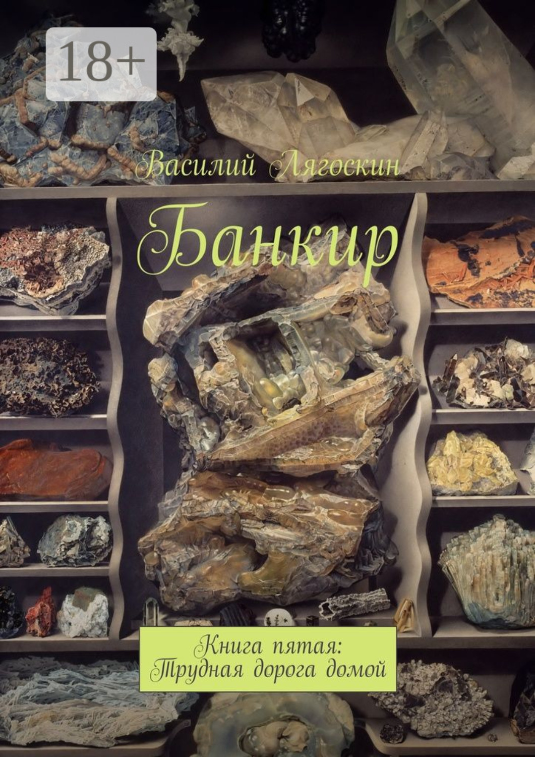 Обложка книги «Банкир. Книга пятая: Трудная дорога домой»