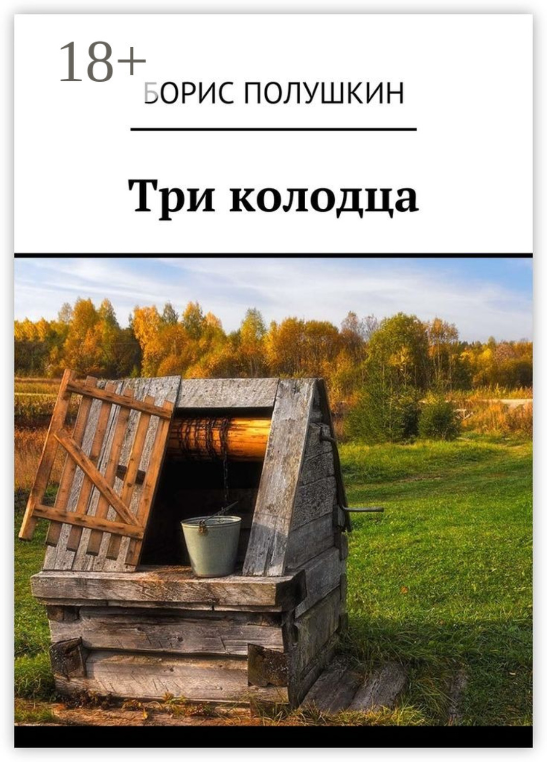Обложка книги «Три колодца»