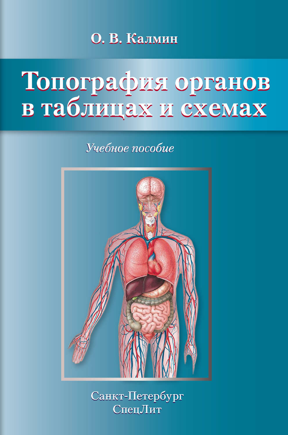 Обложка книги «Топография органов в таблицах и схемах. Учебное пособие»