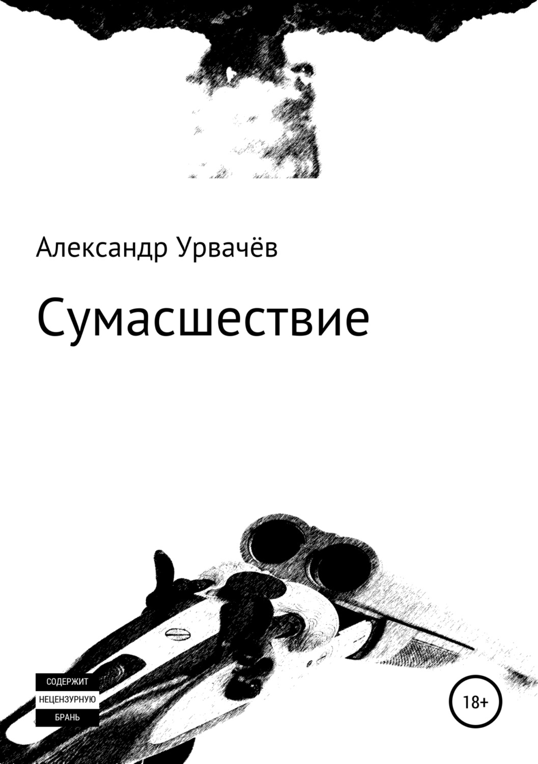 Обложка книги «Сумасшествие»