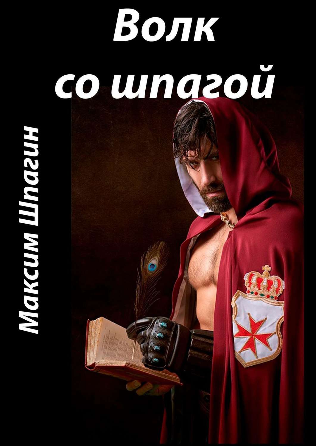Обложка книги «Волк со шпагой»