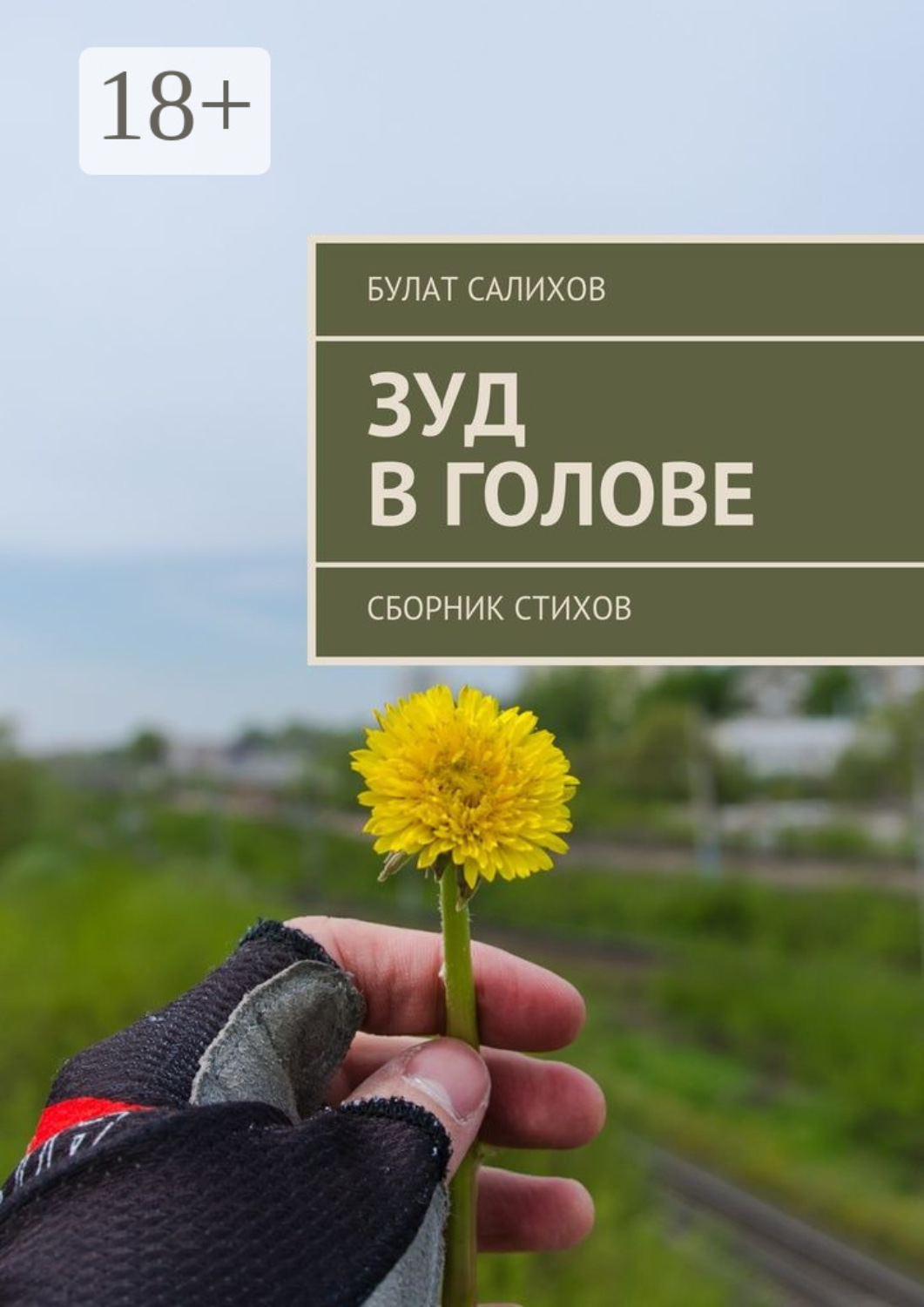 Обложка книги «Зуд в голове. Сборник стихов»