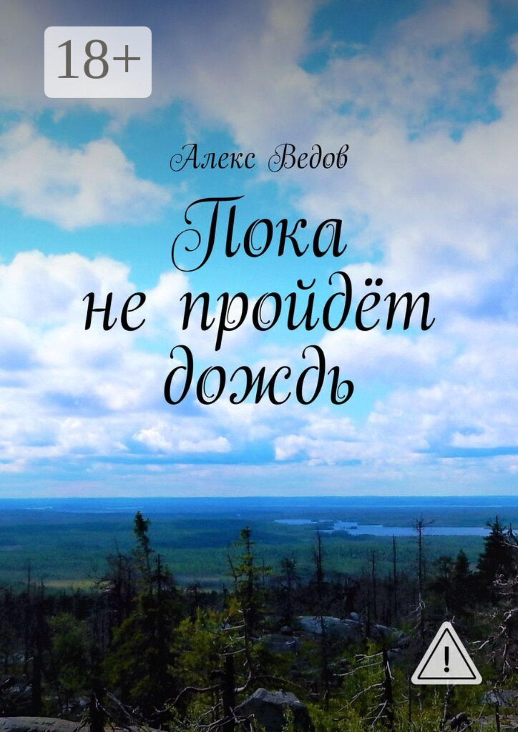 Обложка книги «Пока не пройдёт дождь»