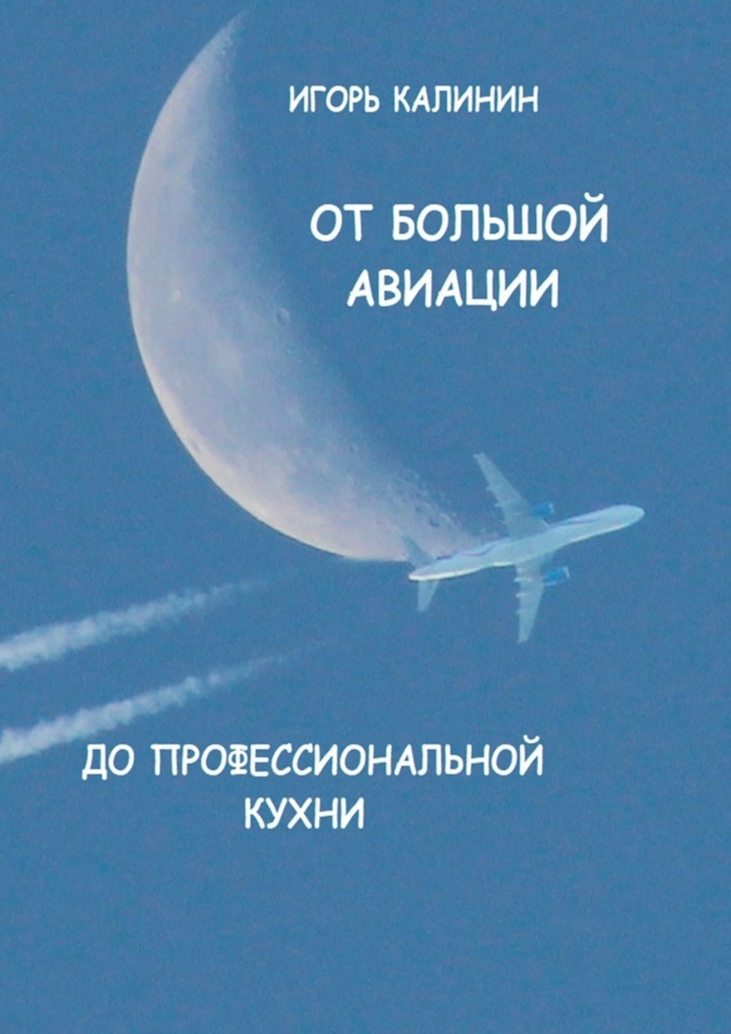 Обложка книги «От большой авиации до профессиональной кухни»