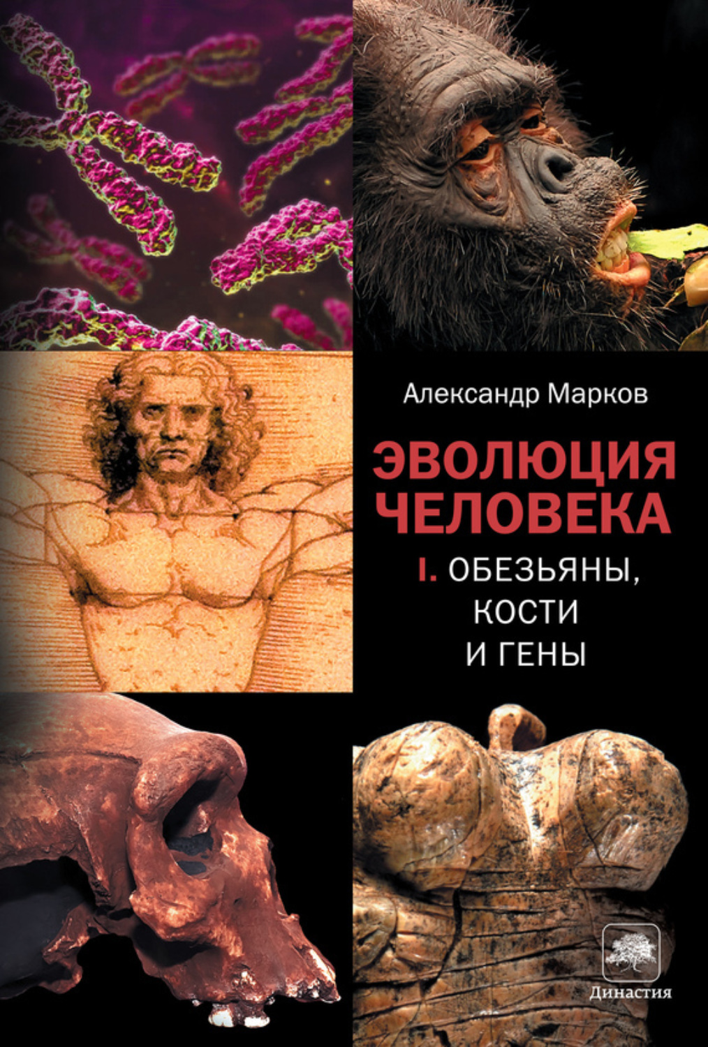 Обложка книги «Обезьяны, кости и гены»