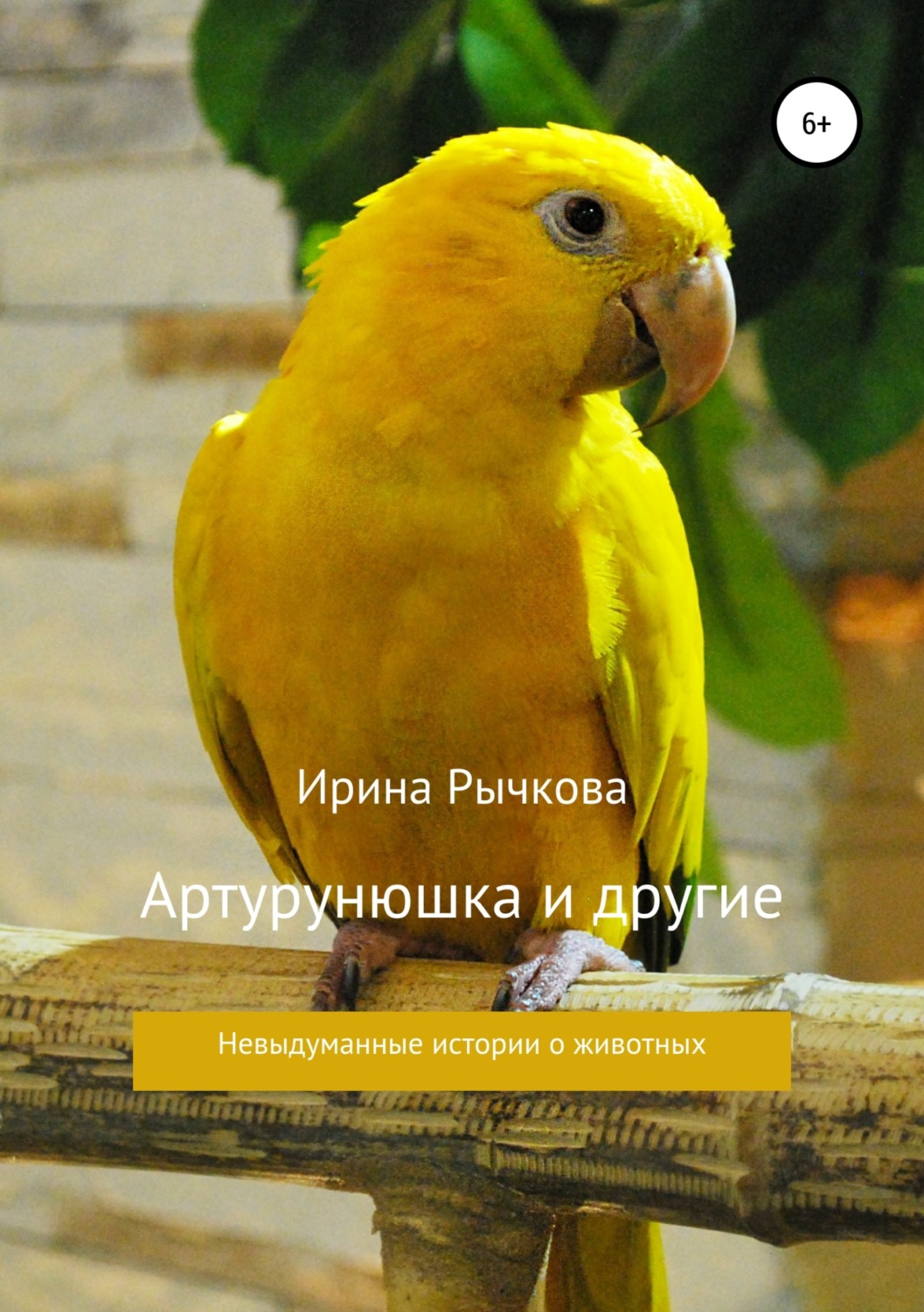 Обложка книги «Артурунюшка и другие»