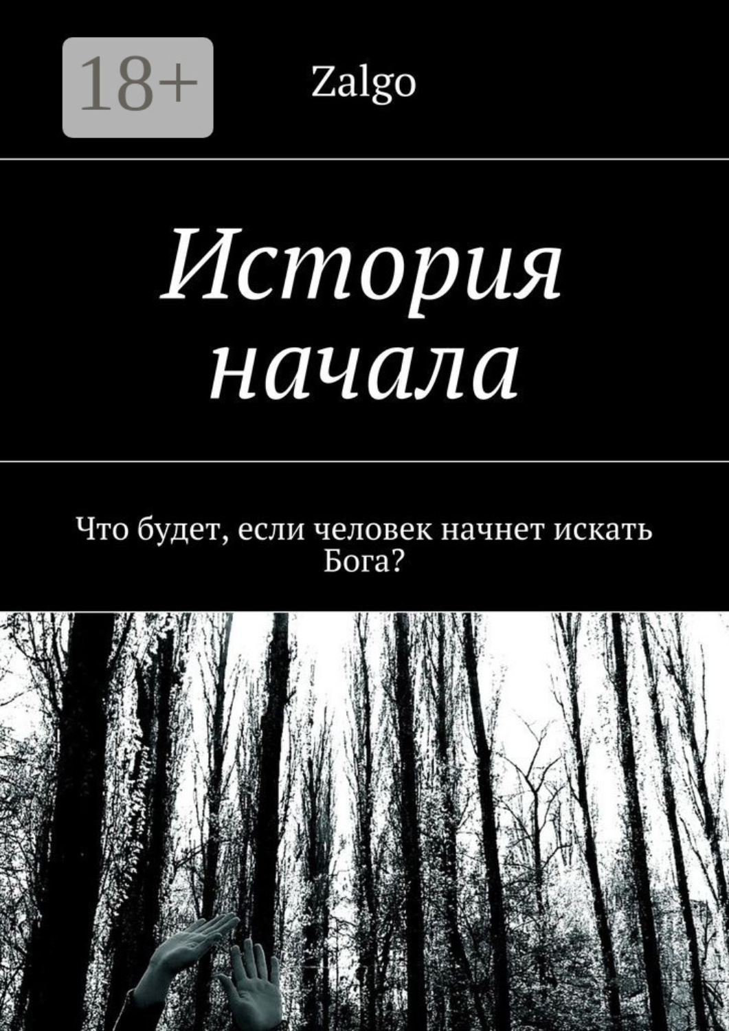 Обложка книги «История начала. Что будет, если человек начнет искать Бога?»