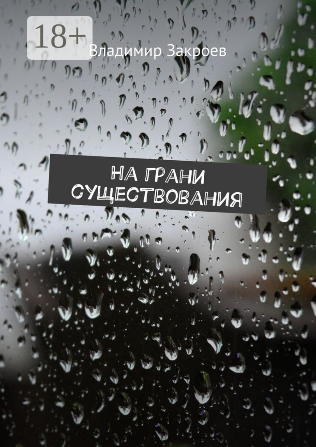 Обложка книги «На грани существования»