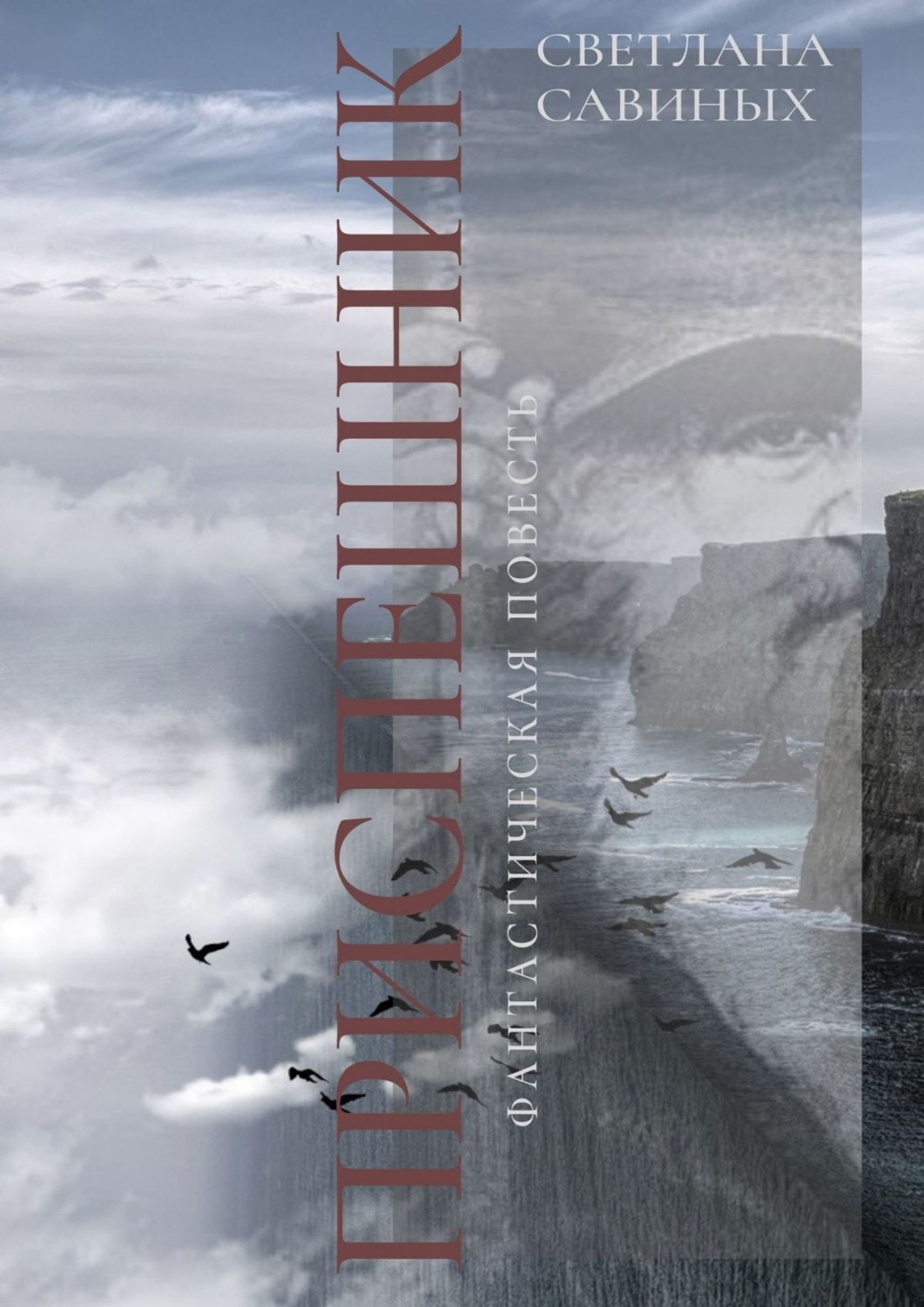 Обложка книги «Приспешник»