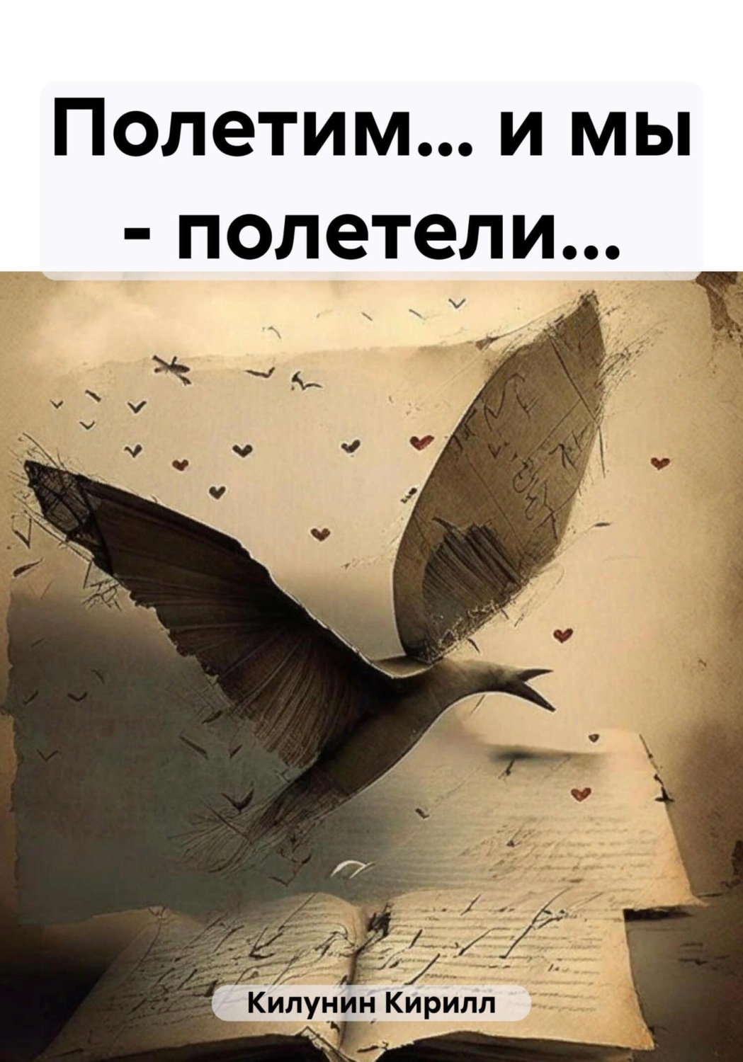 Обложка книги «Полетим… и мы – полетели…»