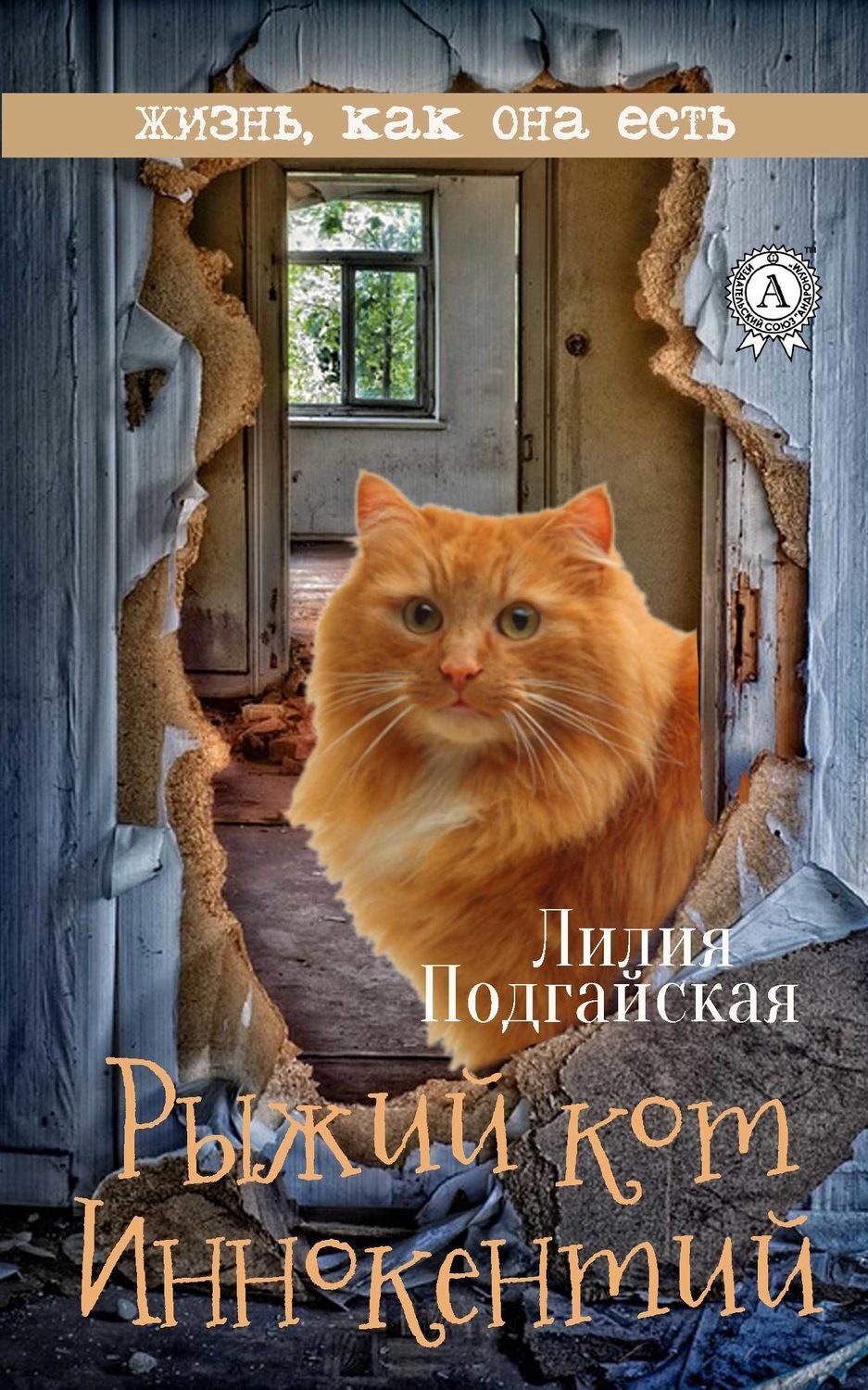 Обложка книги «Рыжий кот Иннокентий»
