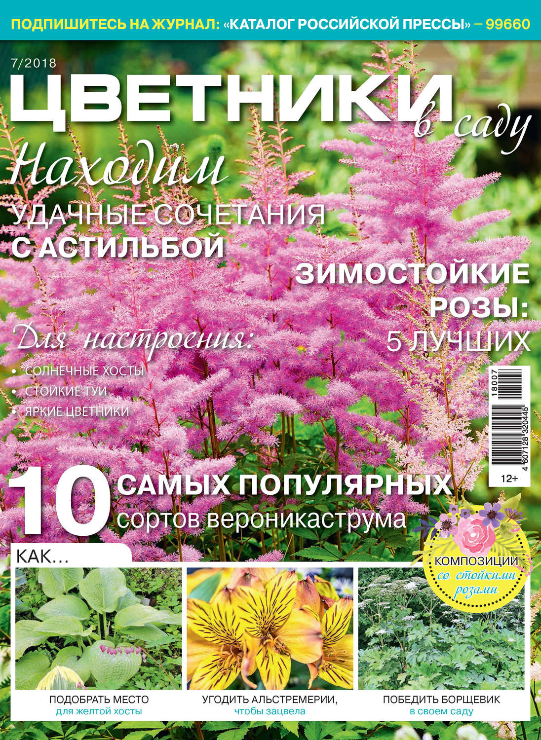 Обложка книги «Цветники в саду №07/2018»