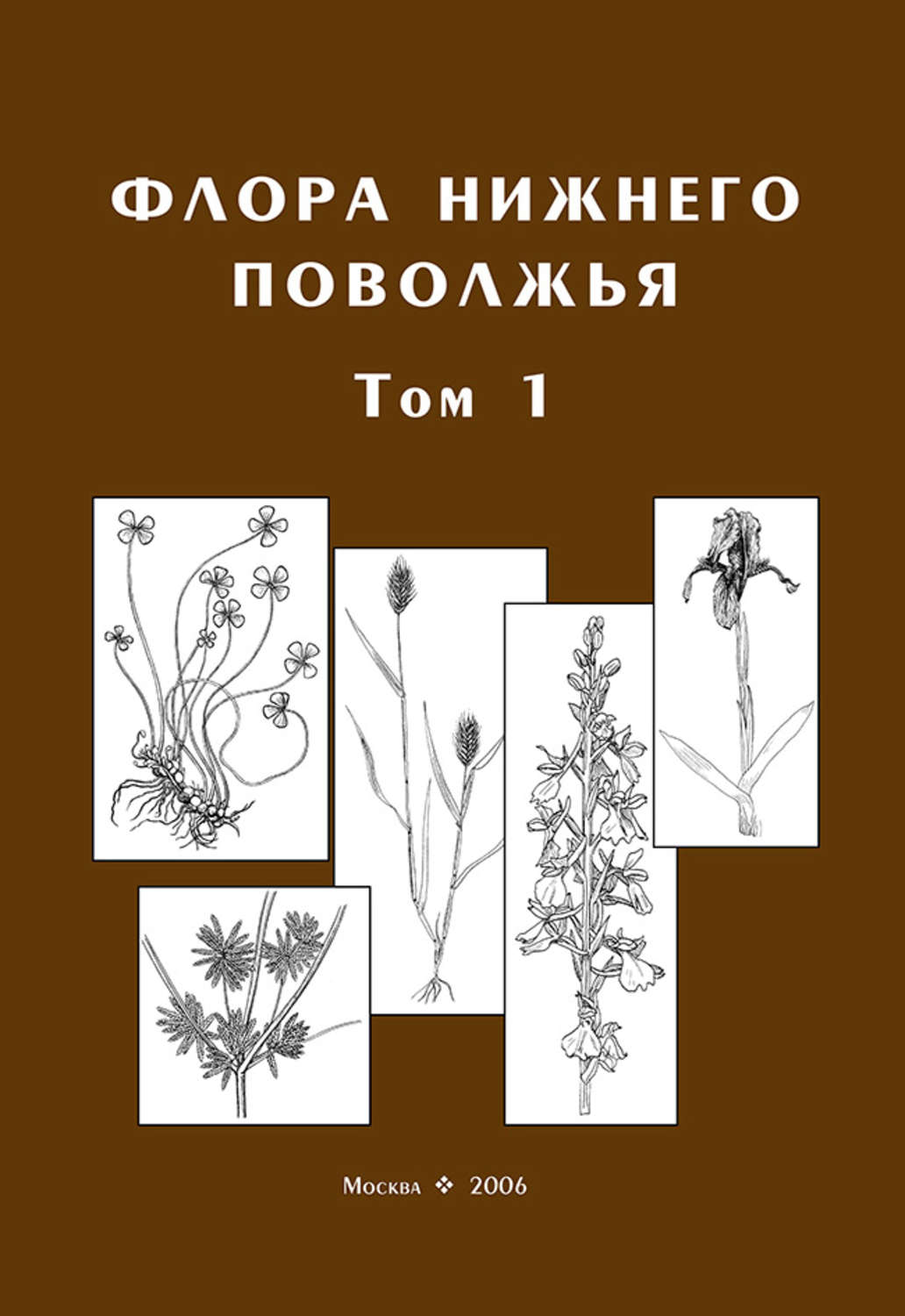 Обложка книги «Флора Нижнего Поволжья. Том 1»