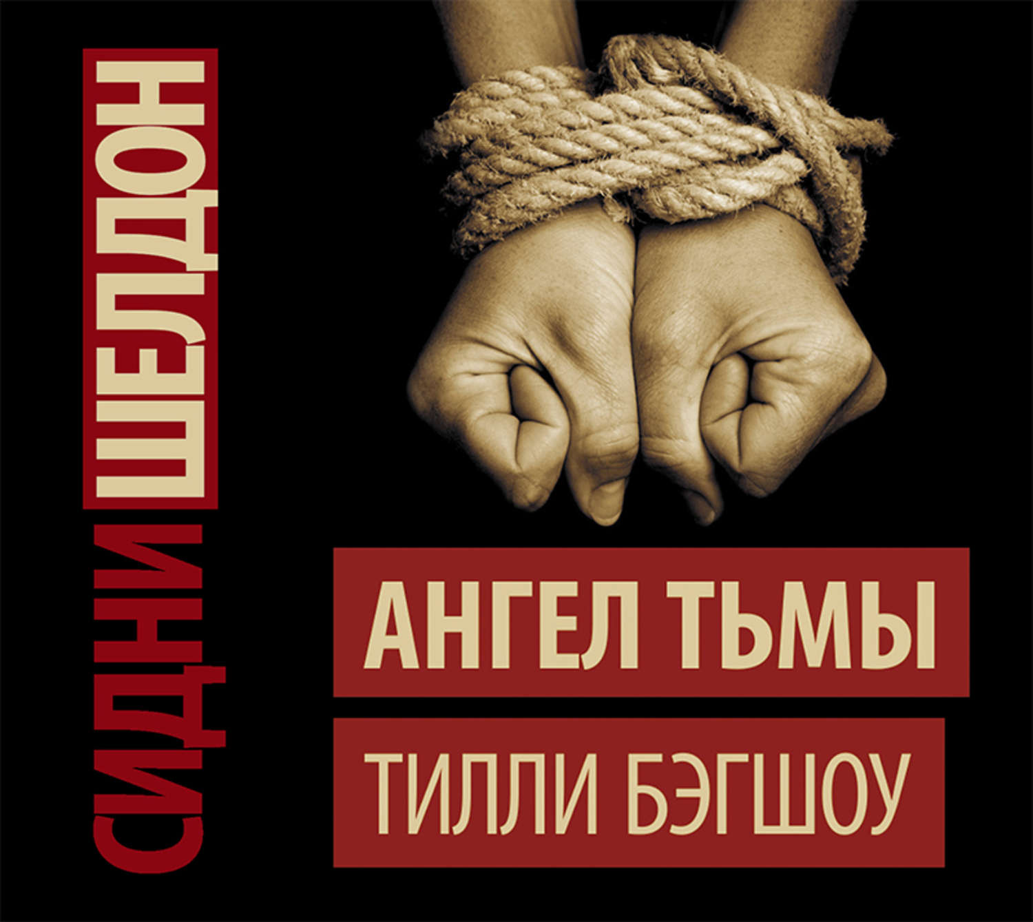 Обложка книги «Сидни Шелдон. Ангел тьмы»