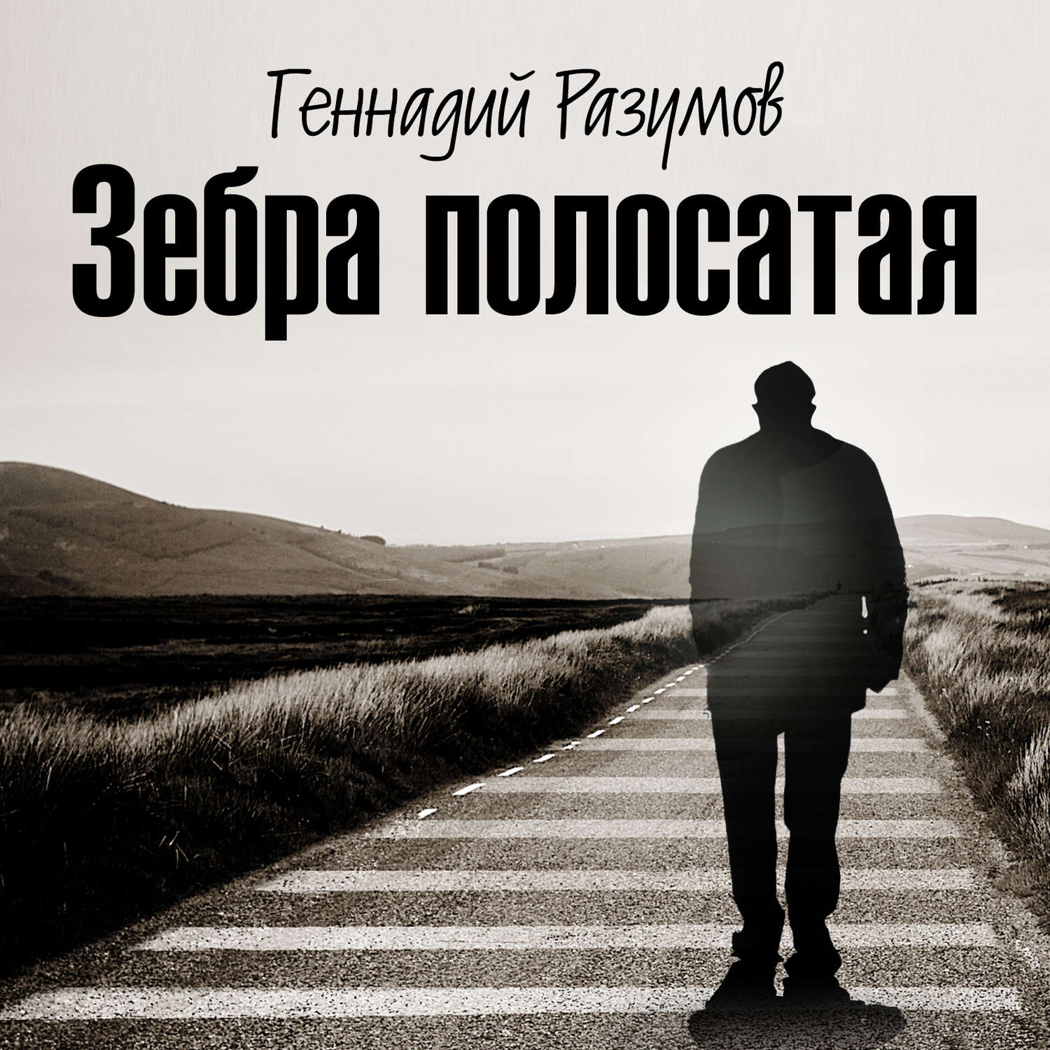 Обложка книги «Зебра полосатая. Том 1. На переломах судьбы»