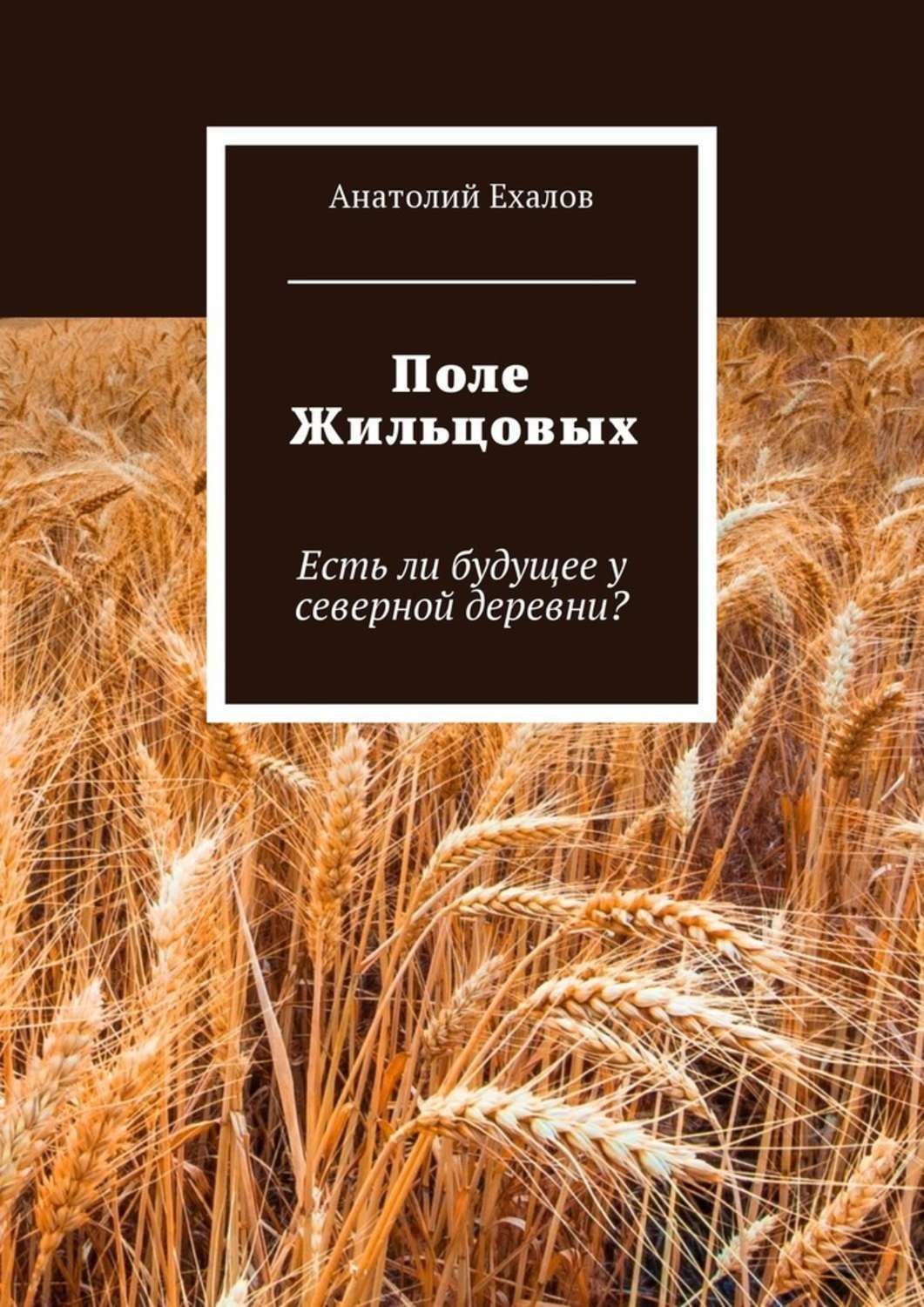 Обложка книги «Поле Жильцовых. Есть ли будущее у северной деревни?»